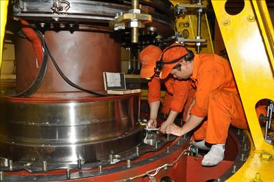 5 newly-established units under Viet Nam Electricity